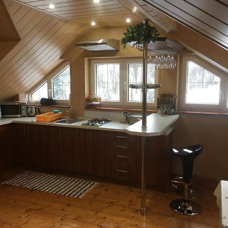 Apartman U Holica Banská Štiavnica エクステリア 写真